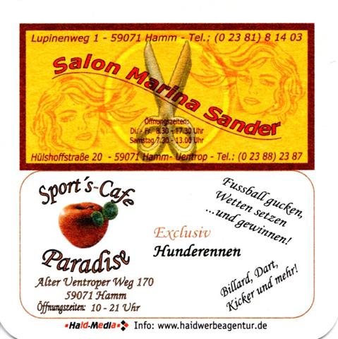 hamm ham-nw wilshaus raute 2b (quad185-salon sander)